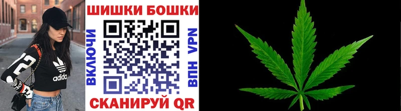 Купить закладки  Хотьково  Канабис индика 
